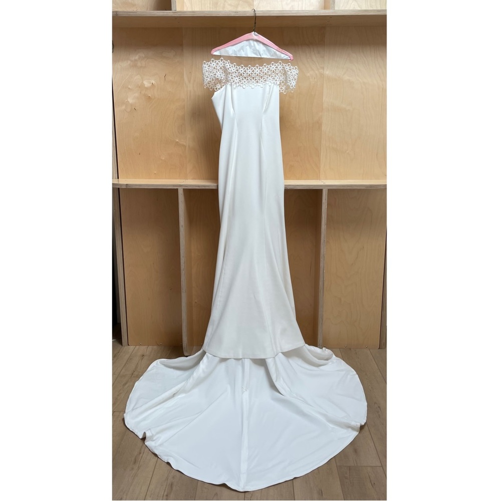 Wedding Dress and Veil